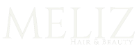 https://meliz.nl/wp-content/uploads/2023/06/meliz-logo-copy-1-e1687727803952.png